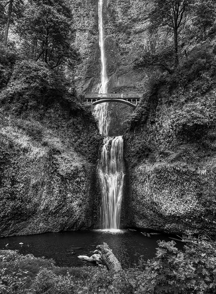 Majestic Multnomah by T Anthony Harding