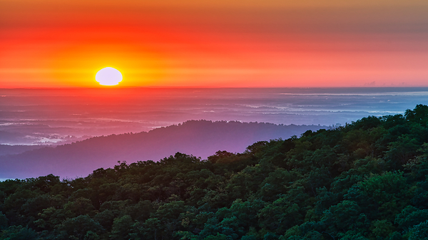 Shenandoah Sunrise by T Anthony Harding