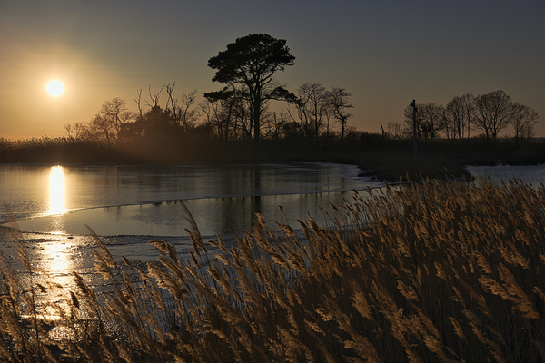 Point Lookout Tidal Reflection Print