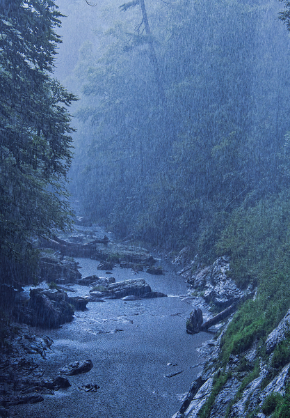 Tranquil Rainstorm Print