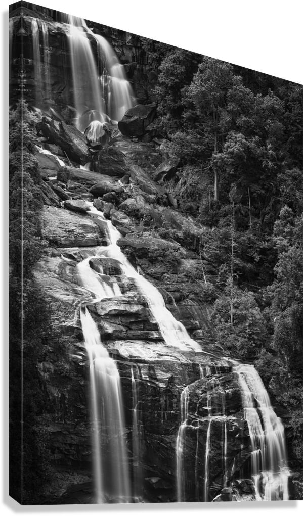 Whitewater Falling Canvas Print