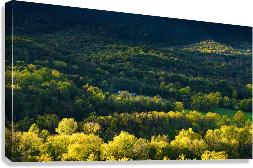 Shenandoah Forest Sunset Canvas Print