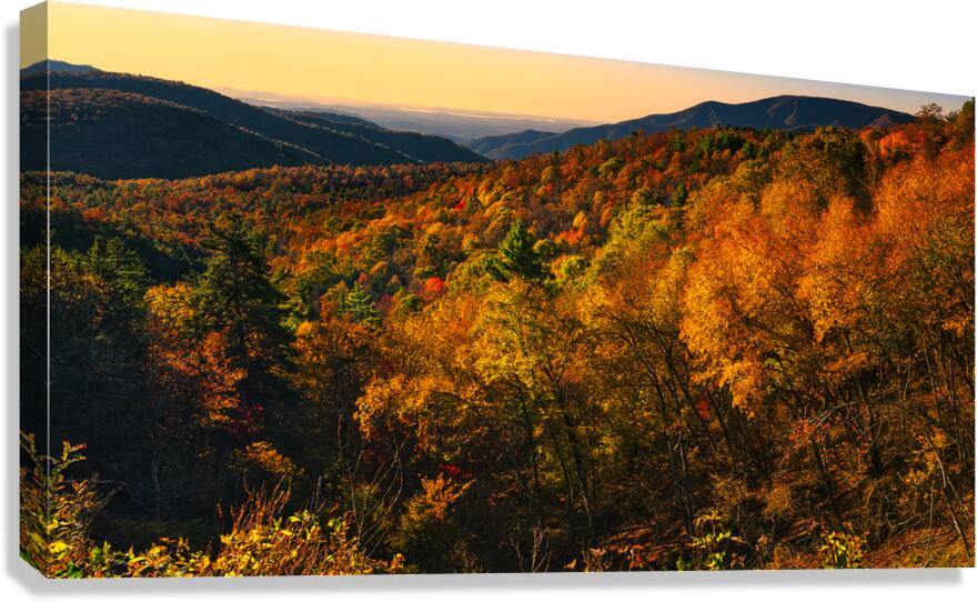 Autumn Hill Canvas Print