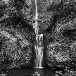 Majestic Multnomah