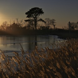 Point Lookout Tidal Reflection