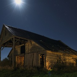 Moonshine