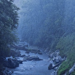 Tranquil Rainstorm