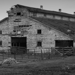 Hendersonville Dairy