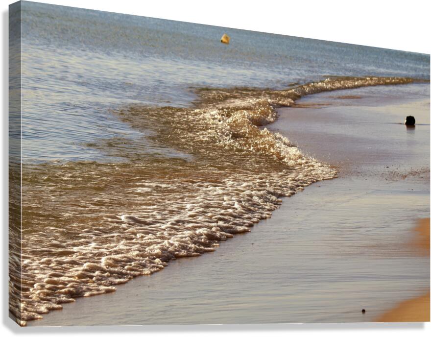Eternal wave Canvas Print