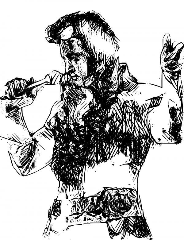 Elvis by flammar