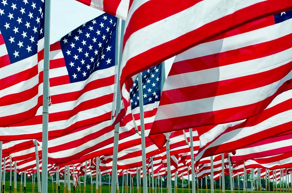 Flags in field Print