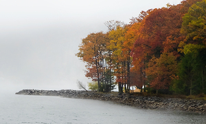 Autumn Color 30
