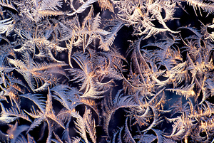 Frost Abstract  1