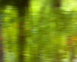 Green Abstract