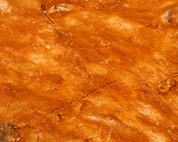 Abstract 67 Print
