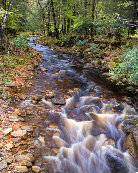 Water  8 Print