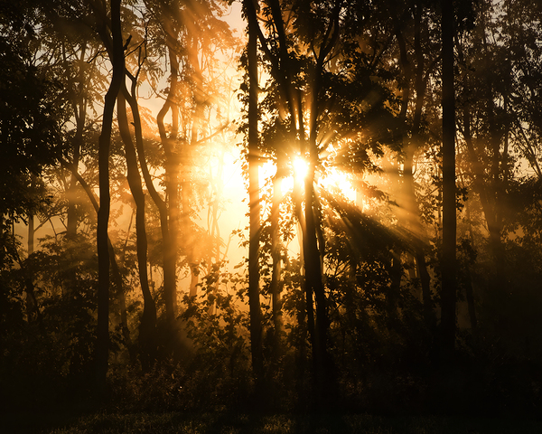 SunriseSunset 16 Print