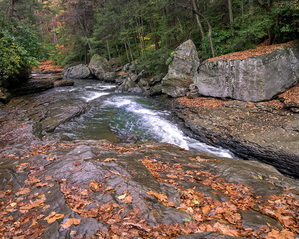 Water  10 Print