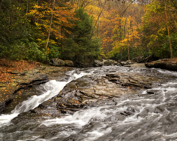 Water  21 Print