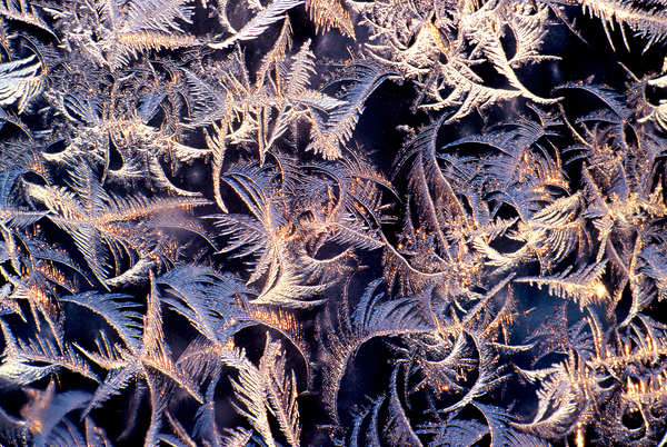 Frost Abstract  1 Print