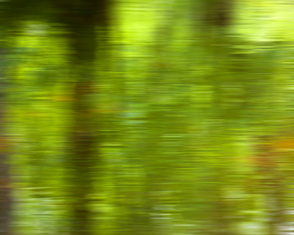 Green Abstract Print