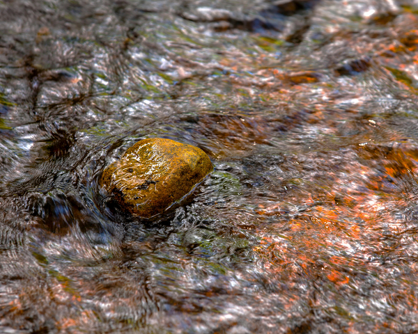 Rock in Stream  2 Print