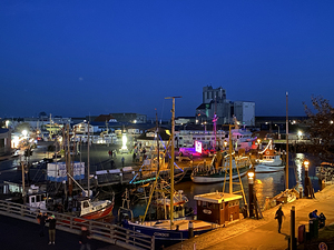 Harbour