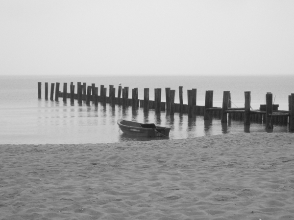 Monochromatic Seashore  Print