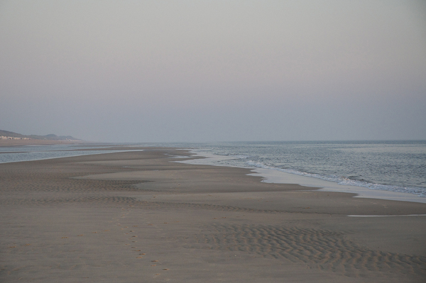 Tide Print