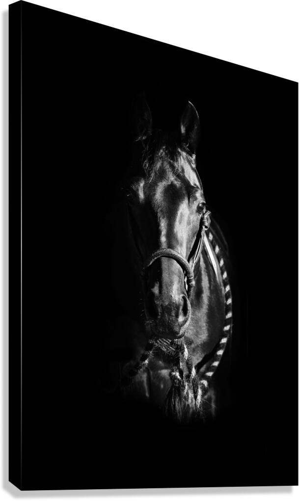 Trust Canvas Print