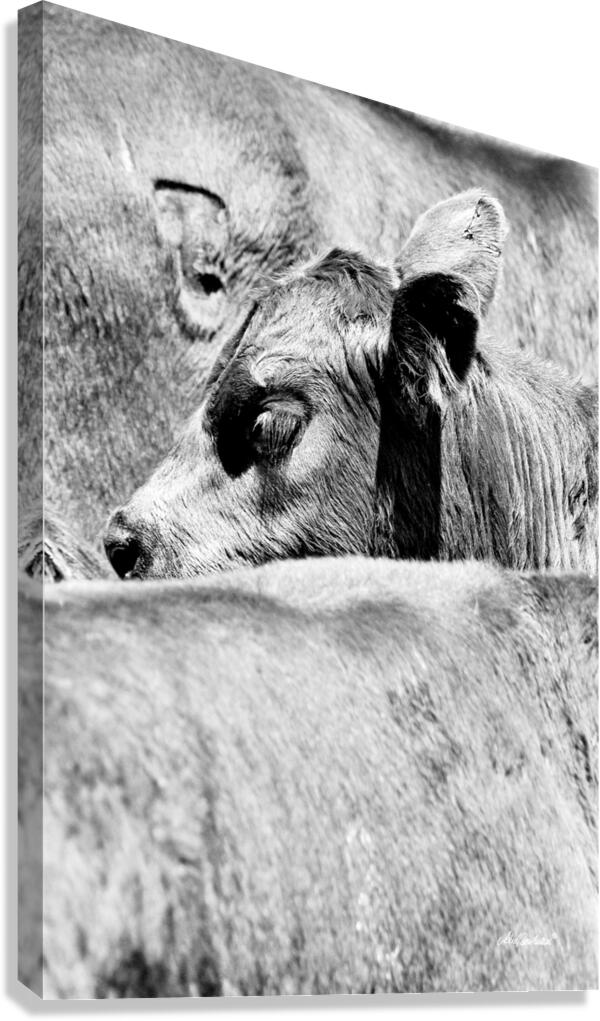 Branded Canvas Print