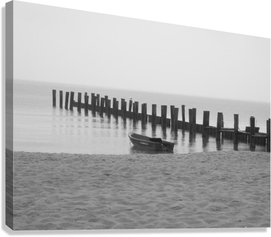 Monochromatic Seashore  Canvas Print