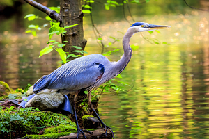 Store Vancouver 5L3A6854