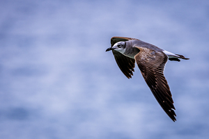 Store Dania Beach AE2A8885