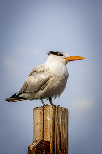 Store Dania Beach AE2A8709