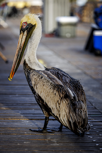 Store Dania Beach AE2A8718