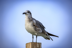 Store Dania Beach AE2A8868