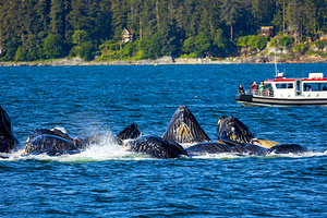 Store Alaska5L3A7546