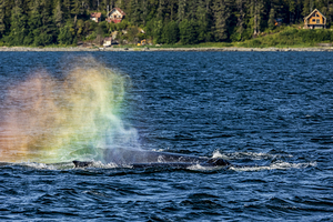 Store Alaska5L3A7628