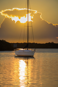 Store Florida 5L3A9278