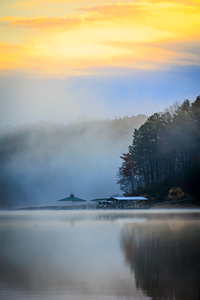 Store Florida 5L3A9746