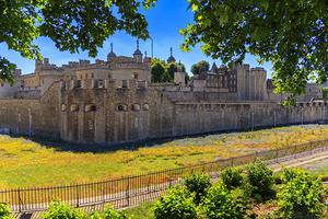 Store London 5L3A1276