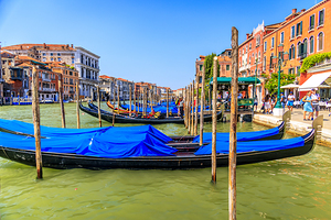 Store Venice 5L3A4531 Edit Edit