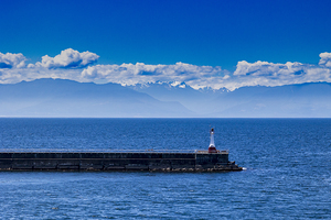 Store Victoria 5L3A8484