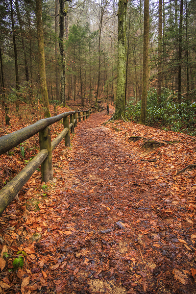 Store Georgia 5L3A5708 Print