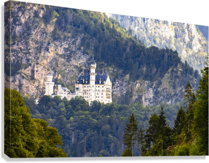 Store Munich  5L3A4301 Enhanced NR Canvas Print