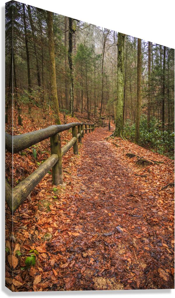 Store Georgia 5L3A5708 Canvas Print