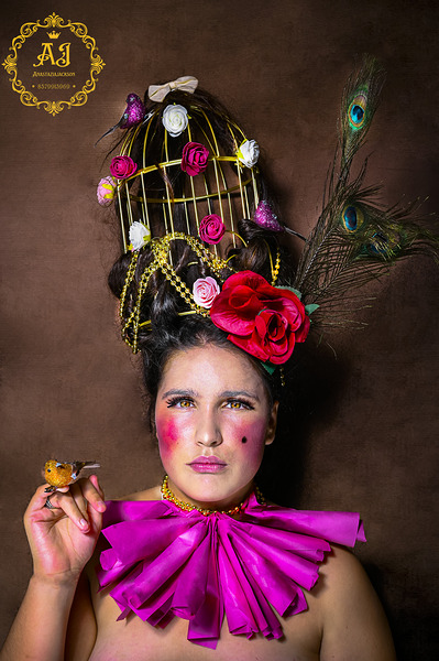 La cage aux oiseaux  1 Print