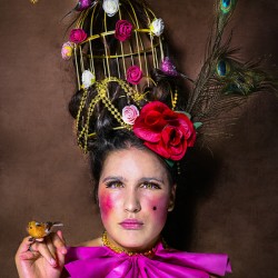 La cage aux oiseaux  1