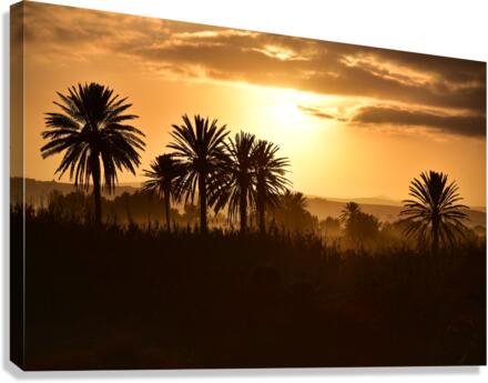 Arabic Sunset Canvas Print